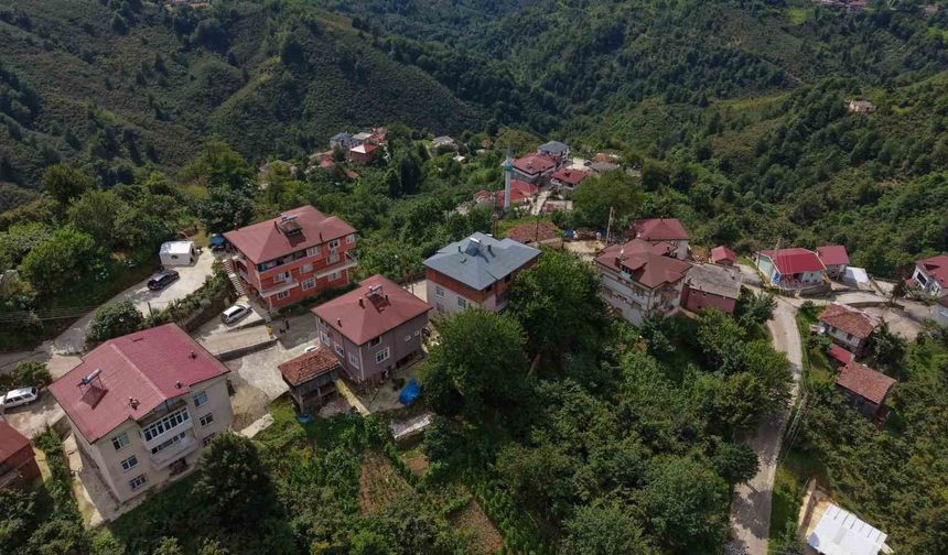 Karadeniz fıkrası gibi mahalle: Herkesin soyadı aynı