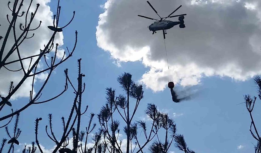 Kırklareli'deki orman yangını söndürüldü: 35 dekar alan zarar gördü