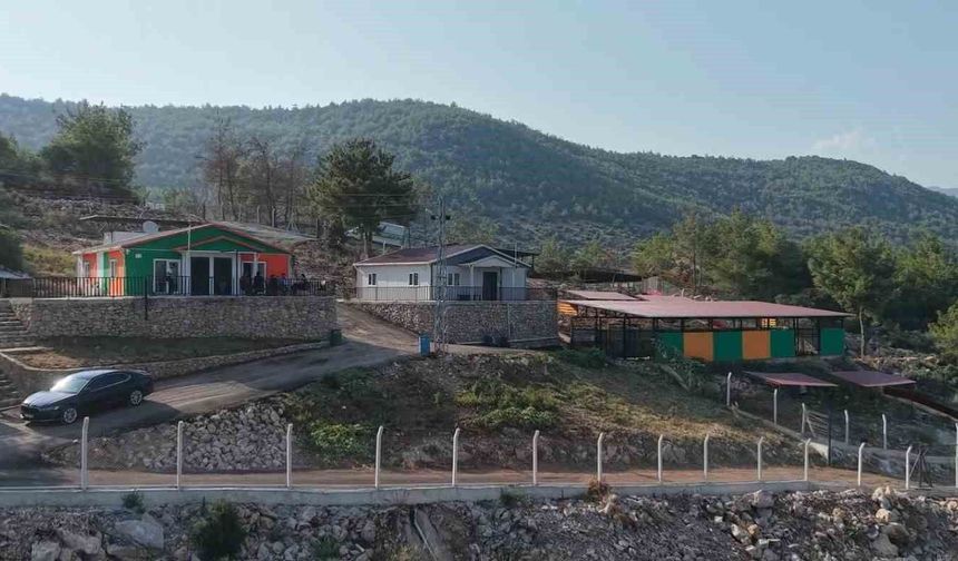 Kozan'da hedef sıfır sahipsiz sokak hayvanı