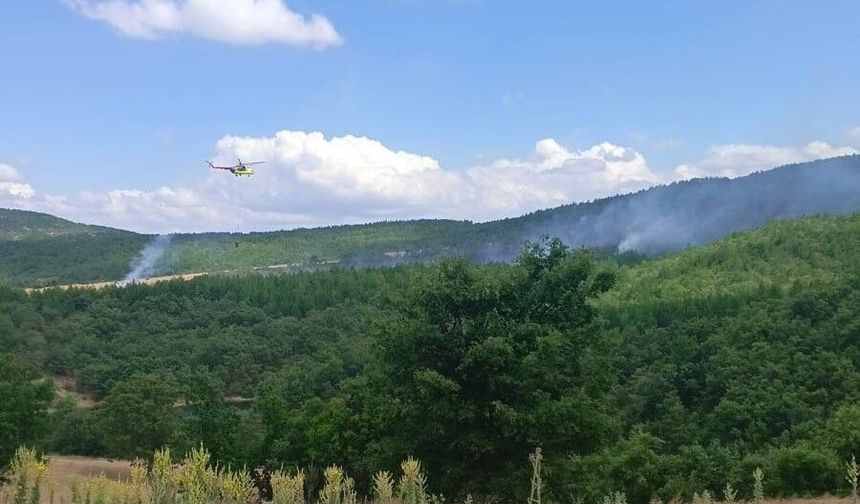 Kütahya'da ev yangını ormana sıçradı, 3 hektar alan zarar gördü