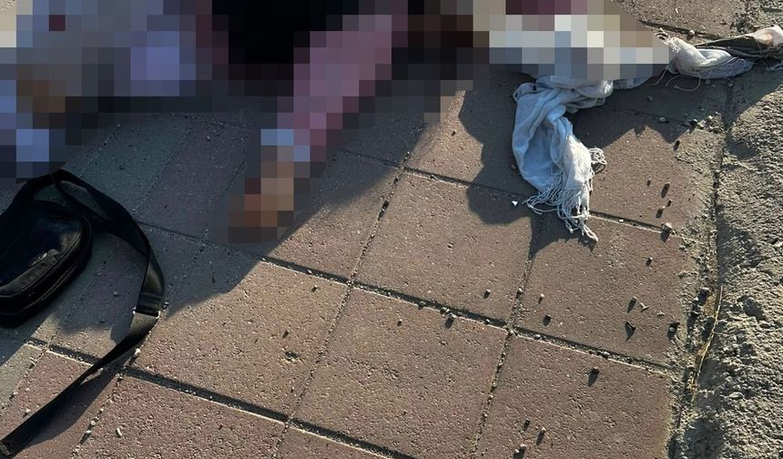 Mardin'de tırın çarptığı yaşlı kadın hayatını kaybetti
