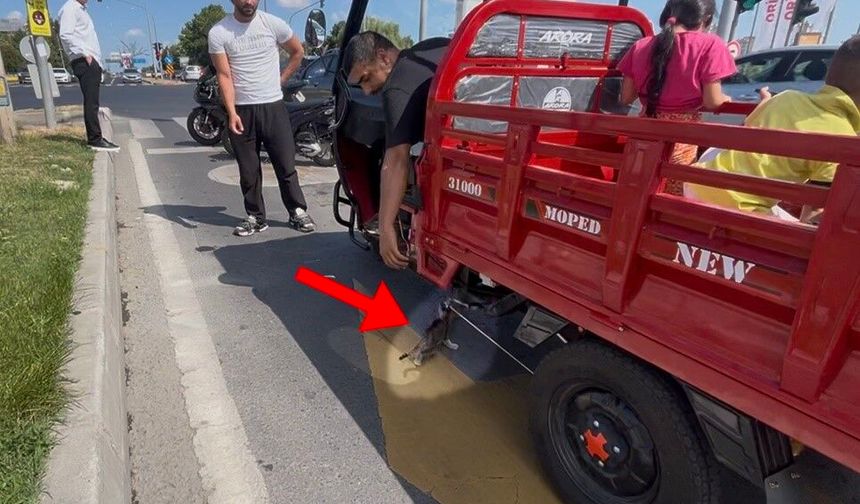 Mopede dadanan yavru kedi ezilmekten son anda kurtarıldı