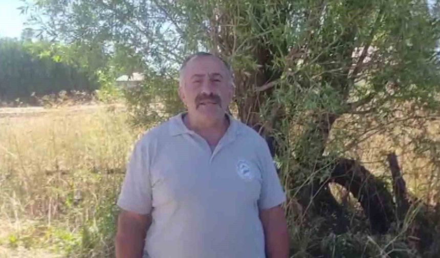 Nesli tükenme tehlikesiyle karşı karşıya olan 'Alaca sansarı' görüntüledi