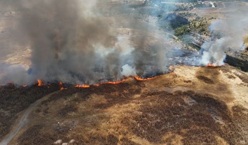 Safranbolu'daki anız yangını kontrol altına alındı