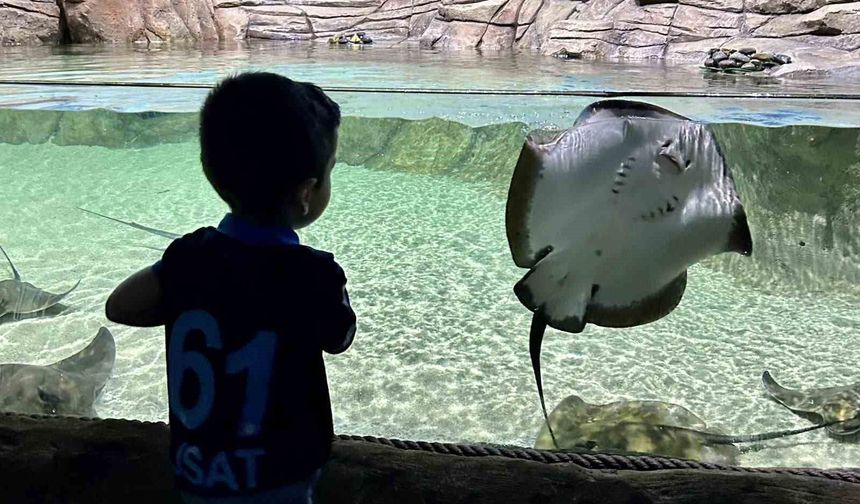 Tünel Akvaryum turistlerin gözdesi oldu