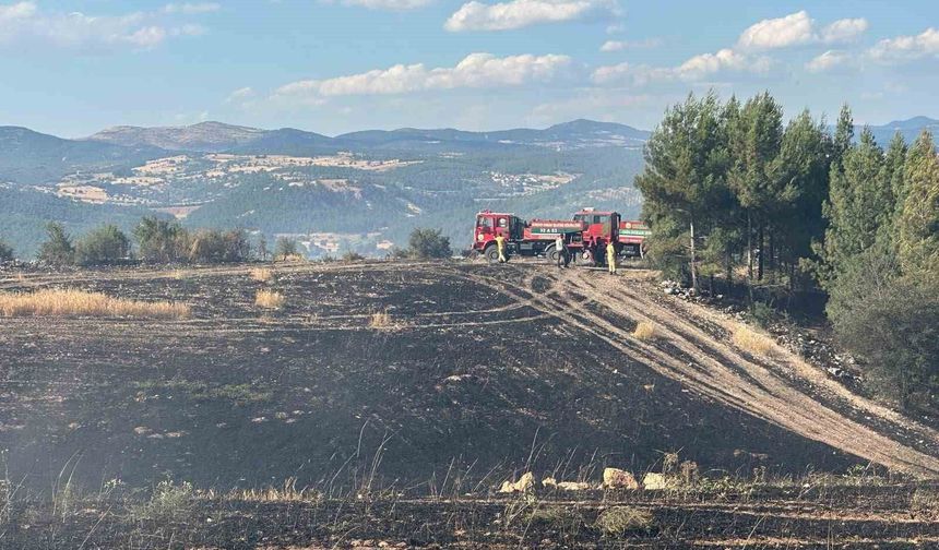 Uşak'ta ormanlık alana sıçrayan yangın söndürüldü