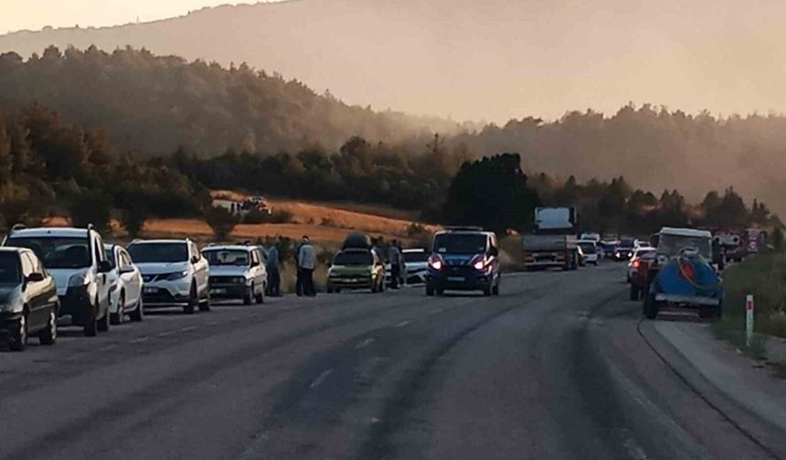 Vezirhan-Gölpazarı karayolu orman yangını nedeniyle trafiğe kapatıldı