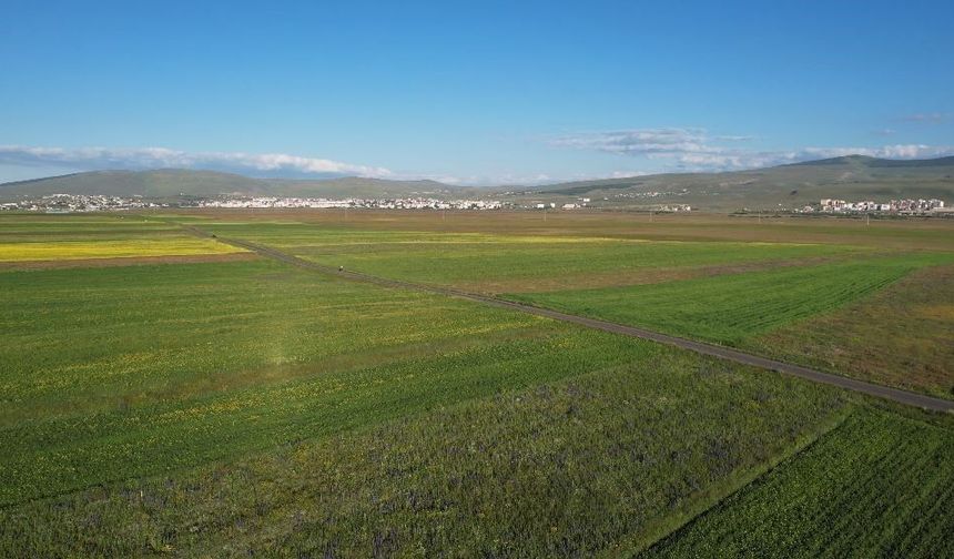 Yazın renk cümbüşüne bürünen Ardahan ovası havadan görüntülendi
