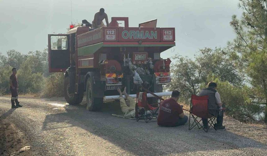 Yeşil vatan için ateşe yürüdüler, sabahı küle bulanmış yüzlerle karşıladılar