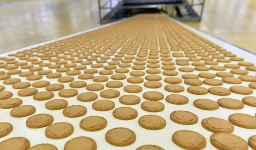 Yıldız Holding çatısı altında faaliyet gösteren Pladis, dengeli beslenmeye katkı sunan ürün hacmini 2030'a kadar iki katına çıkaracak