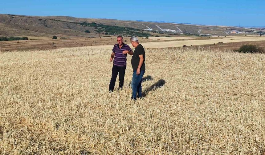 Yozgat'ta bu tarlaları biçerdöver değil dolu biçti