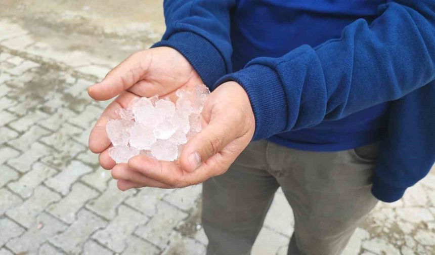 Yozgat'ta dolu tarım alanlarını vurdu, köylüler afet bölgesi ilanı istedi