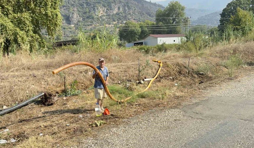 Zeytinlikleri kül oldu, gözyaşını içine akıtıp yangına su taşıdı