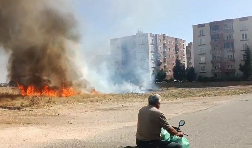 Nusaybin-Mardin yolu yakınında anız yangını paniği