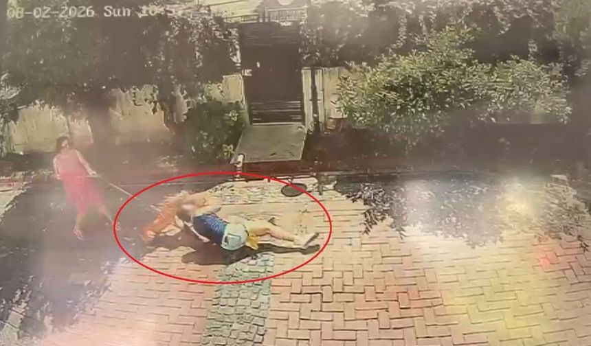 Samsun’da pitbull dehşeti: Küçük kızı yere savurdu, köpeğini ise ağır yaraladı