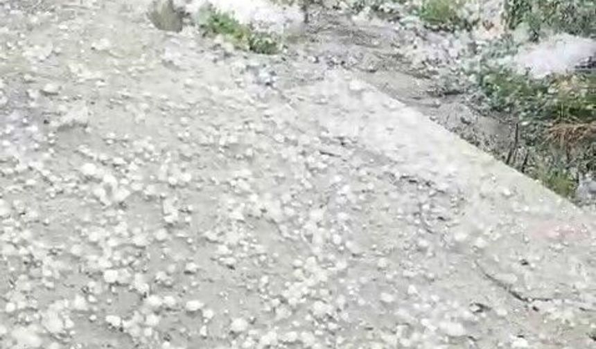 Ardahan'da dolu yağışı etkili oldu