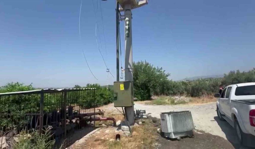 Bakır için direk üzerindeki trafoyu hedef alan hırsızlar, narenciye ağaçlarını susuz bıraktı