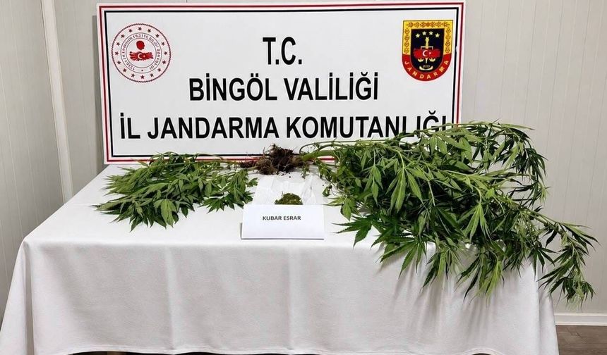 Bingöl'de kesinleşmiş hapis cezası bulunan 6 zanlı yakalandı