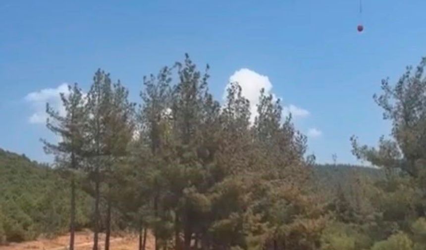 Gaziantep'te orman yangını: Havadan ve karadan müdahaleyle söndürüldü