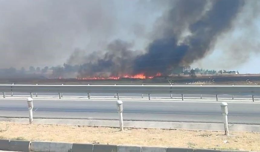 Kırklareli'nde yerleşim alanlarına sıçrayan anız yangınında bir bağ evi yandı