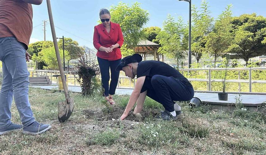 Konut dokunulmazlığını ihlal etti, adliye bahçesine 10 fidan dikti
