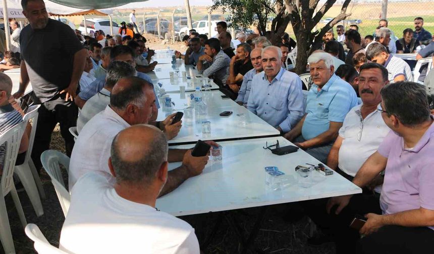 Narin Güran mezarı başında anıldı
