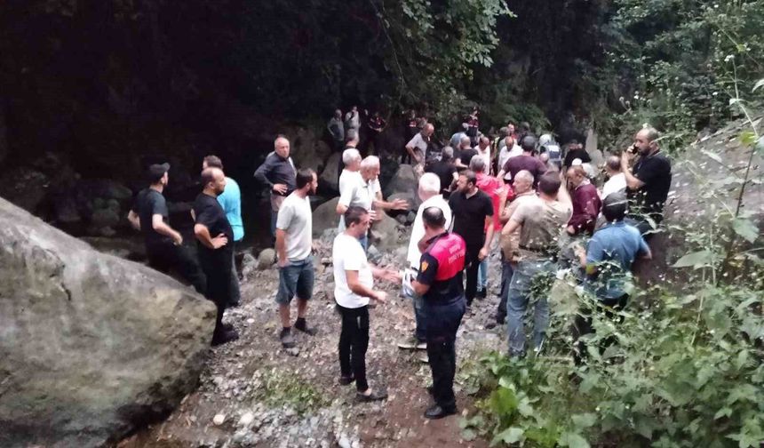 Ordu'da uçuruma yuvarlanan iki kardeş hayatını kaybetti