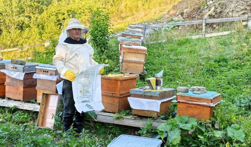 Sinop'un köyünden sofralara doğal bal yolculuğu