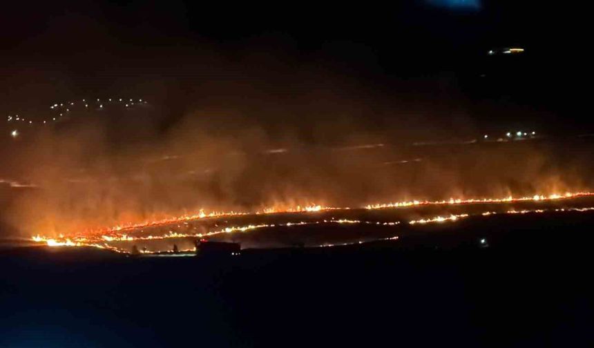 Tatvan'da makilik alanda yangını: Yaklaşık 300 dönüm alan kül oldu