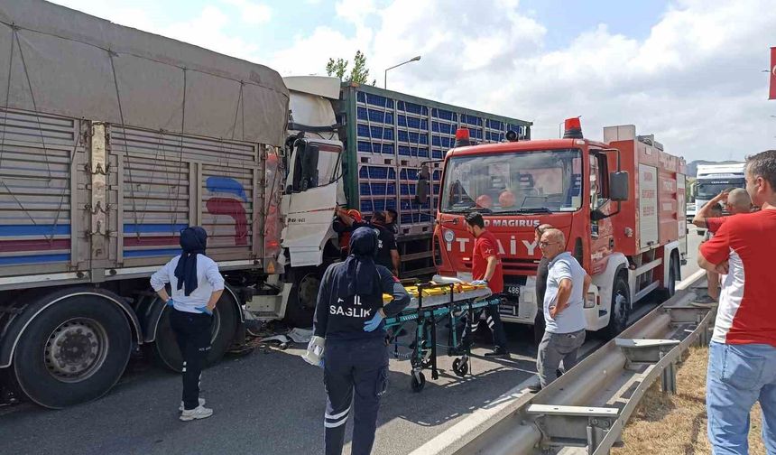 Tavuk yüklü tır, önündeki kamyona çarptı: 2 yaralı