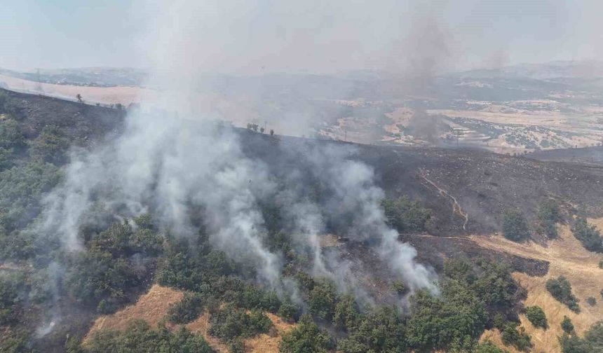 Tunceli'de orman yangını: Havadan ve karadan müdahaleye başlandı