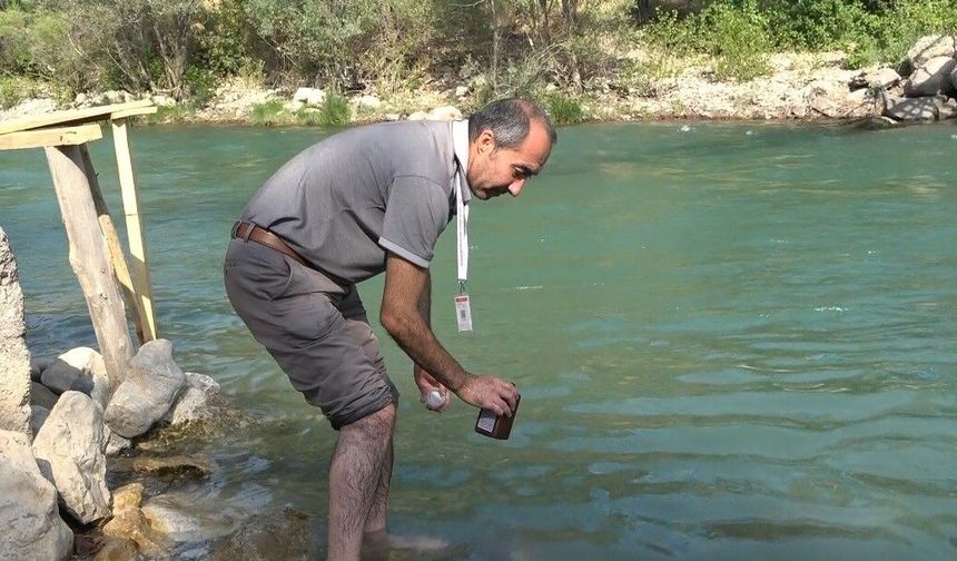 Tunceli'deki akarsularda yüzme suyu düzenli olarak denetleniyor