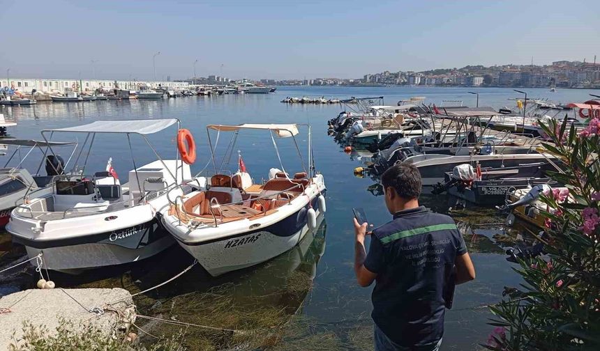 Yalova'da atık suları arıtmadan deşarj eden belediyeye 7,9 milyon lira ceza