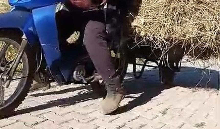 Yüksekovalı vatandaşın pratik zekası: Motosikletin arkasına el arabası bağlayarak üzerinde ot taşıdı