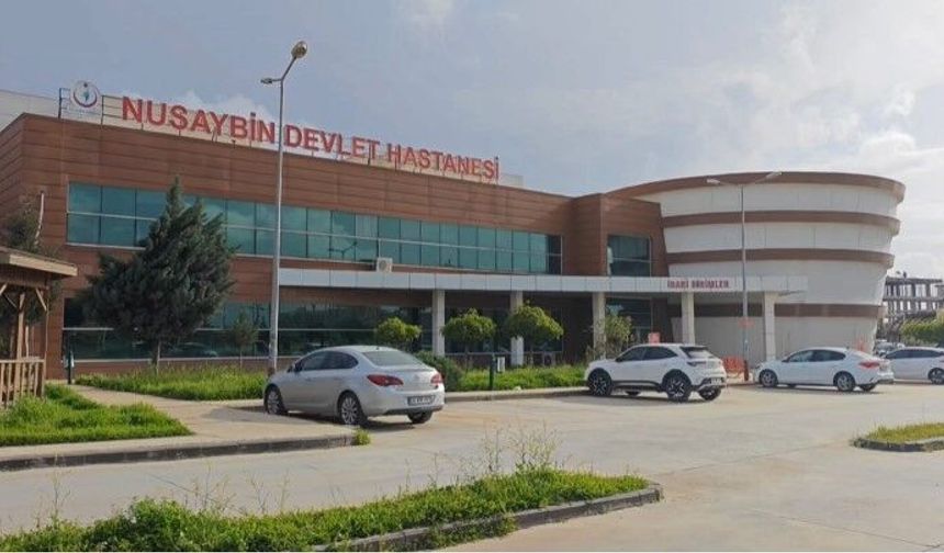 Mardin’de parkta oturan kadının başına mermi isabet etti