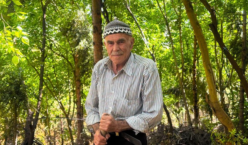 30 Yılda 30 Bin Fidan: Mardinli Şeyhmus Amca Geleceğe Nefes Oluyor