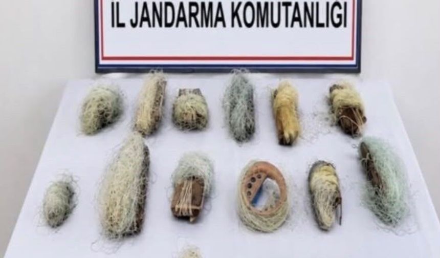 Bolu'da 22,5 metre kaçak ağ ele geçirildi