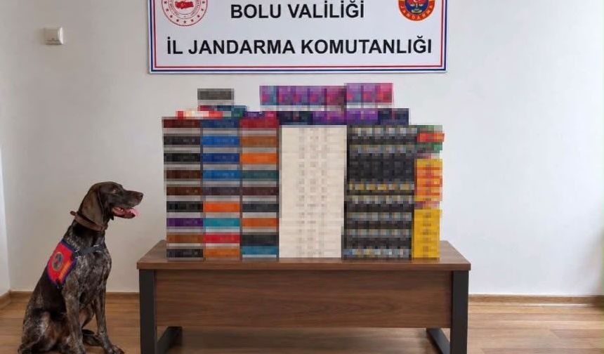 Bolu'da yolcu otobüslerinde kaçak tütün operasyonu: Piyasa değeri 760 bin TL