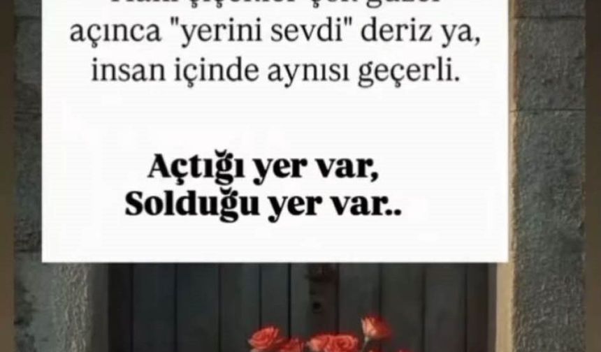 Boşanma aşamasındaki eşi tarafından öldürülen kadının olaydan 2 saat önceki paylaşımları dikkat çekti
