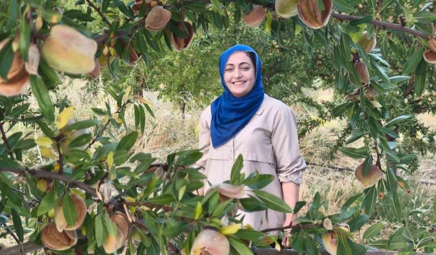 Kadın emeği toprağı berekete dönüştürdü: Devlet desteğiyle atıl araziyi üretime kazandırdı