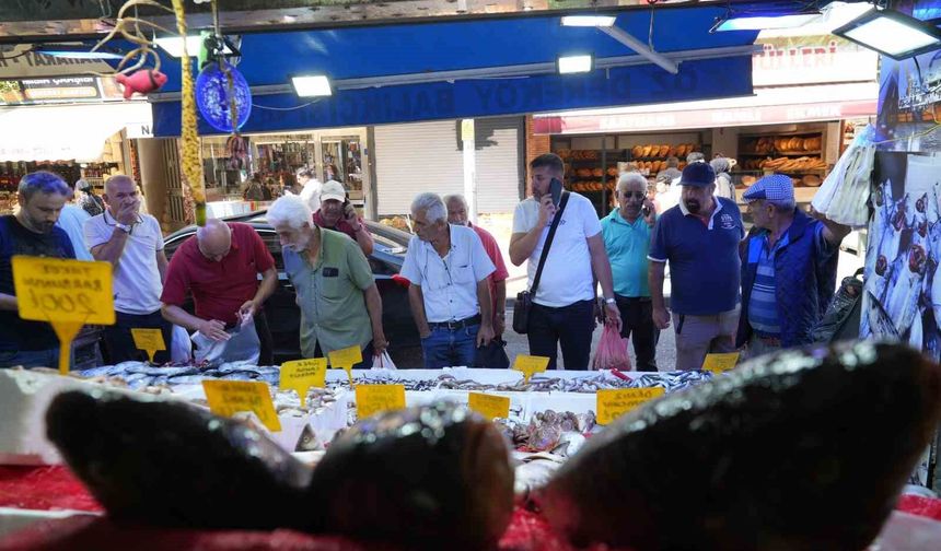 Karadeniz'de palamut patlaması: Tanesi 80 TL