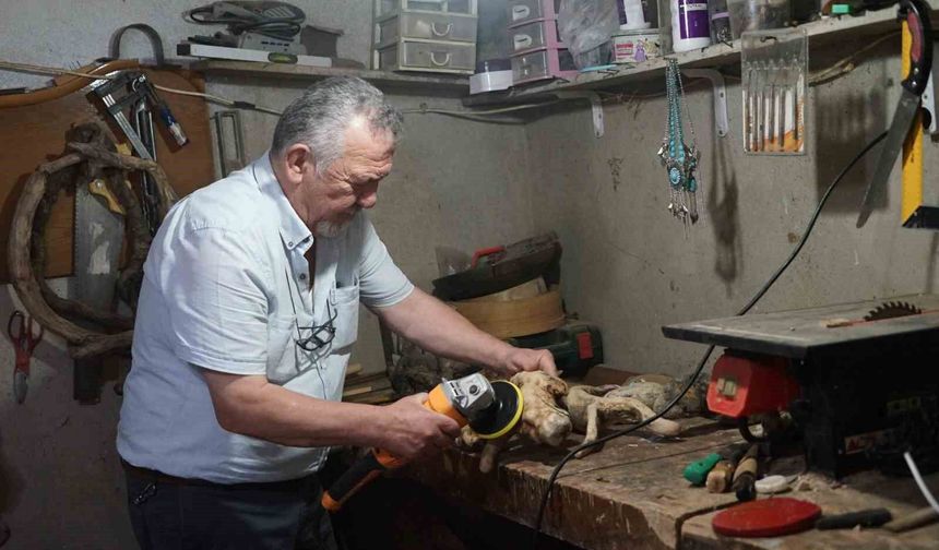 Kurumuş ağaç dalları ve kökleri ellerinde yeniden hayat buluyor