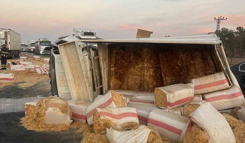 Mardin'de saman yüklü kamyonet devrildi: 1 yaralı