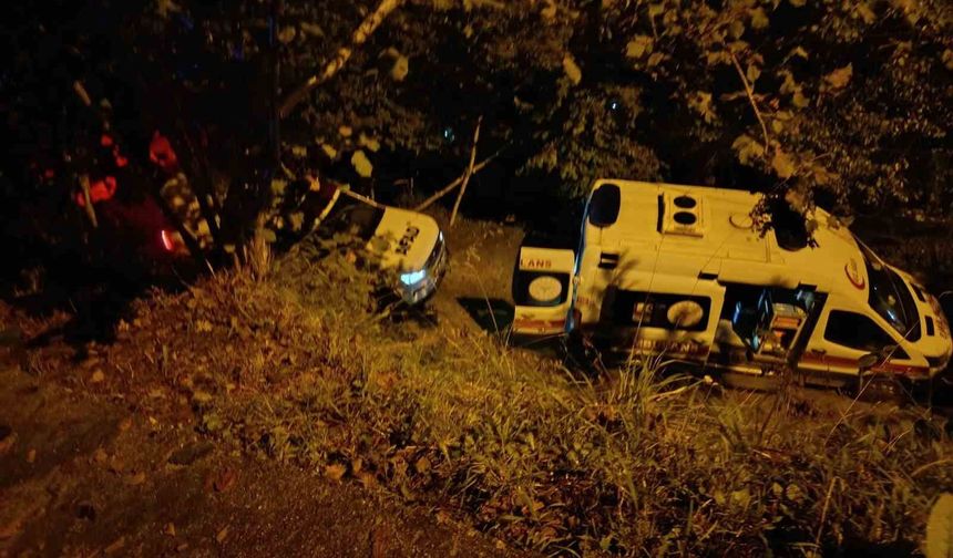 Park sırasında kontrolden çıkan araç uçuruma yuvarlandı: 2 ölü, 1 yaralı