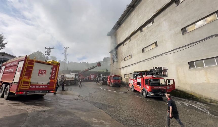 Rize'de çay fabrikasının ambalaj deposunda yangın