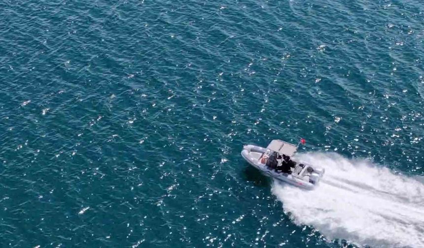 Sapanca Gölü'ndeki kaçak av tuzağı söküldü, balıklar geri bırakıldı