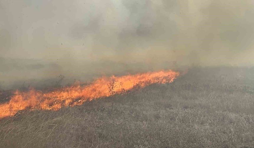 Tekirdağ'da mera yangını