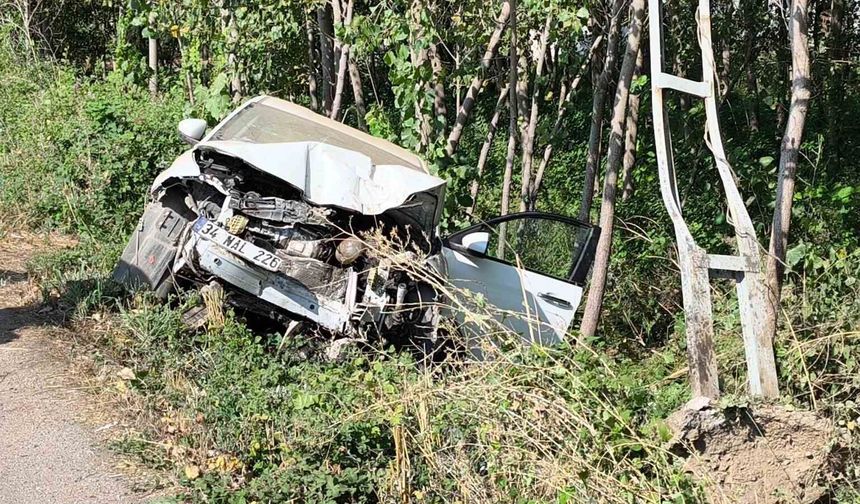 Tokat'ta otomobil elektrik direğine çarptı: 1 ölü, 1 yaralı