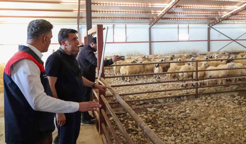 Tunceli'de kırsal kalkınma destekleri üreticiye güç veriyor