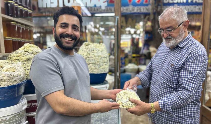 Van'ın meşhur otlu küp peyniri tezgâhlardaki yerini almaya başladı